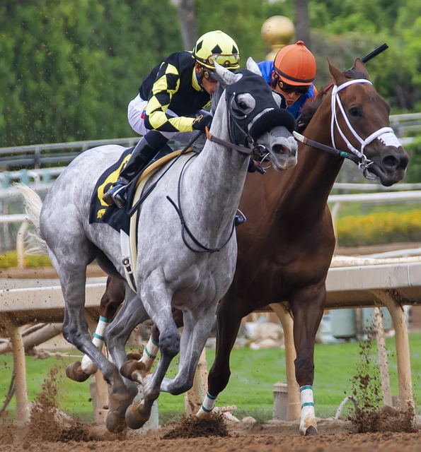 至关重要的 至关重要的